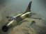 MiG21621-21500